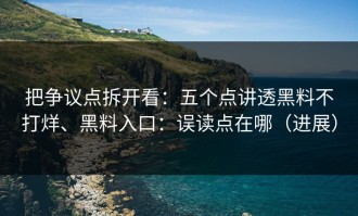 把争议点拆开看：五个点讲透黑料不打烊、黑料入口：误读点在哪（进展）
