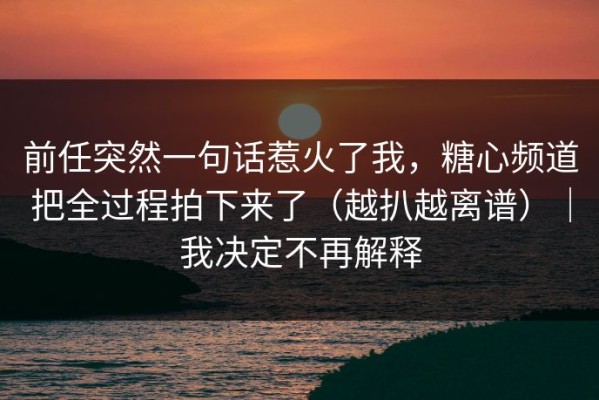 前任突然一句话惹火了我，糖心频道把全过程拍下来了（越扒越离谱）｜我决定不再解释