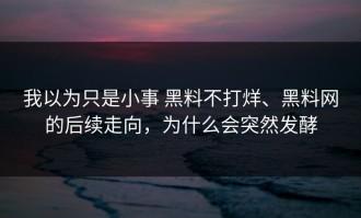 我以为只是小事 黑料不打烊、黑料网的后续走向，为什么会突然发酵