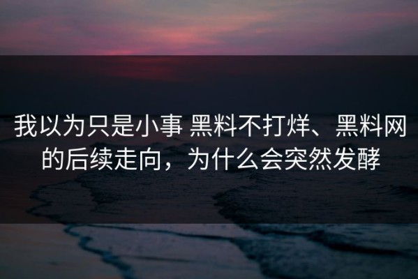 我以为只是小事 黑料不打烊、黑料网的后续走向，为什么会突然发酵