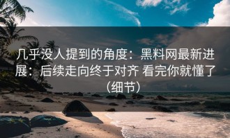 几乎没人提到的角度：黑料网最新进展：后续走向终于对齐 看完你就懂了（细节）