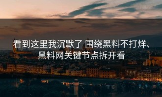 看到这里我沉默了 围绕黑料不打烊、黑料网关键节点拆开看