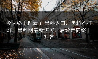 今天终于理清了 黑料入口、黑料不打烊、黑料网最新进展：后续走向终于对齐