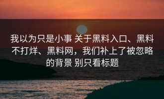 我以为只是小事 关于黑料入口、黑料不打烊、黑料网，我们补上了被忽略的背景 别只看标题