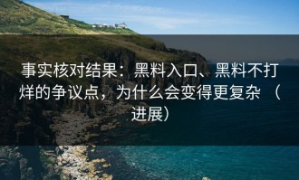 事实核对结果：黑料入口、黑料不打烊的争议点，为什么会变得更复杂 （进展）