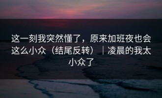 这一刻我突然懂了，原来加班夜也会这么小众（结尾反转）｜凌晨的我太小众了