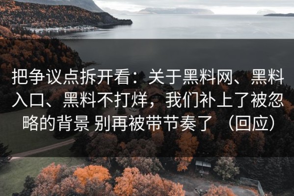 把争议点拆开看：关于黑料网、黑料入口、黑料不打烊，我们补上了被忽略的背景 别再被带节奏了 （回应）