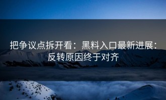 把争议点拆开看：黑料入口最新进展：反转原因终于对齐