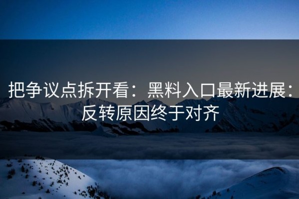 把争议点拆开看：黑料入口最新进展：反转原因终于对齐