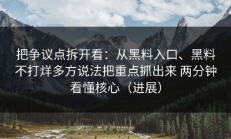 把争议点拆开看：从黑料入口、黑料不打烊多方说法把重点抓出来 两分钟看懂核心（进展）