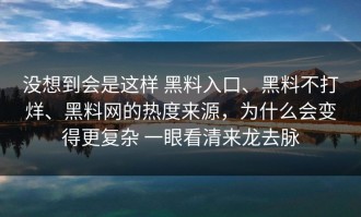 没想到会是这样 黑料入口、黑料不打烊、黑料网的热度来源，为什么会变得更复杂 一眼看清来龙去脉