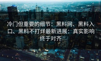 冷门但重要的细节：黑料网、黑料入口、黑料不打烊最新进展：真实影响终于对齐