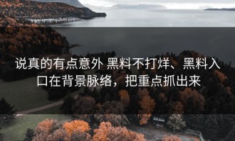 说真的有点意外 黑料不打烊、黑料入口在背景脉络，把重点抓出来