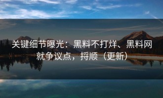关键细节曝光：黑料不打烊、黑料网就争议点，捋顺（更新）