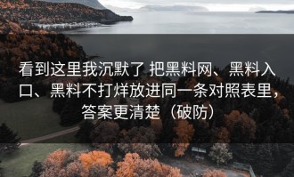 看到这里我沉默了 把黑料网、黑料入口、黑料不打烊放进同一条对照表里，答案更清楚（破防）