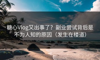 糖心Vlog又出事了？副业尝试背后是不为人知的原因（发生在楼道）