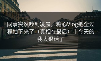 同事突然吵到凌晨，糖心Vlog把全过程拍下来了（真相在最后）｜今天的我太狠话了