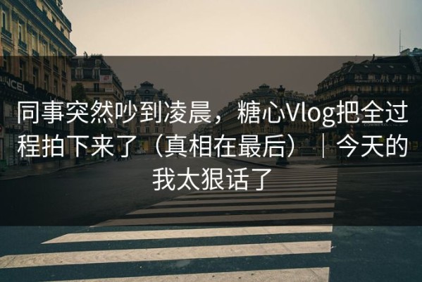 同事突然吵到凌晨，糖心Vlog把全过程拍下来了（真相在最后）｜今天的我太狠话了