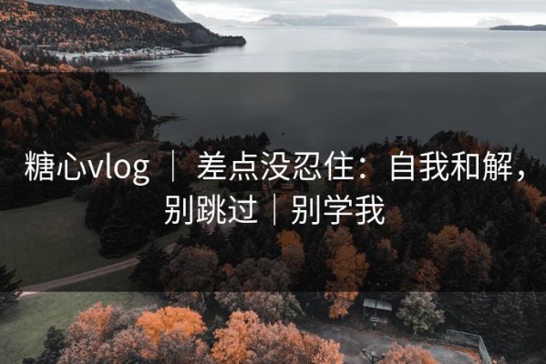 糖心vlog ｜ 差点没忍住：自我和解，别跳过｜别学我