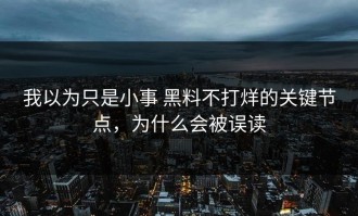 我以为只是小事 黑料不打烊的关键节点，为什么会被误读