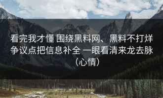 看完我才懂 围绕黑料网、黑料不打烊争议点把信息补全 一眼看清来龙去脉（心情）