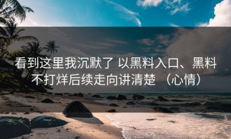 看到这里我沉默了 以黑料入口、黑料不打烊后续走向讲清楚 （心情）