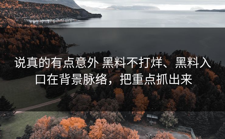 说真的有点意外 黑料不打烊、黑料入口在背景脉络，把重点抓出来