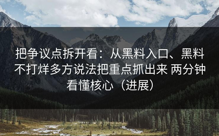 把争议点拆开看：从黑料入口、黑料不打烊多方说法把重点抓出来 两分钟看懂核心（进展）