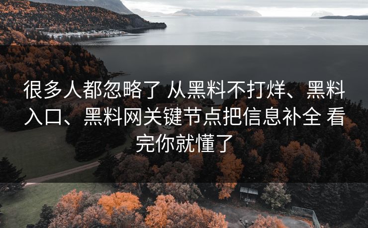 很多人都忽略了 从黑料不打烊、黑料入口、黑料网关键节点把信息补全 看完你就懂了
