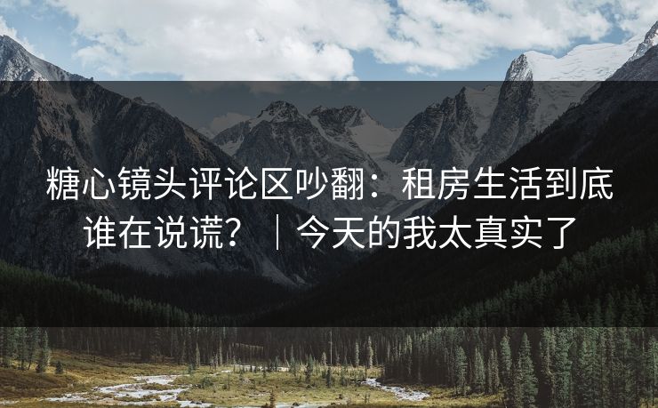 糖心镜头评论区吵翻：租房生活到底谁在说谎？｜今天的我太真实了