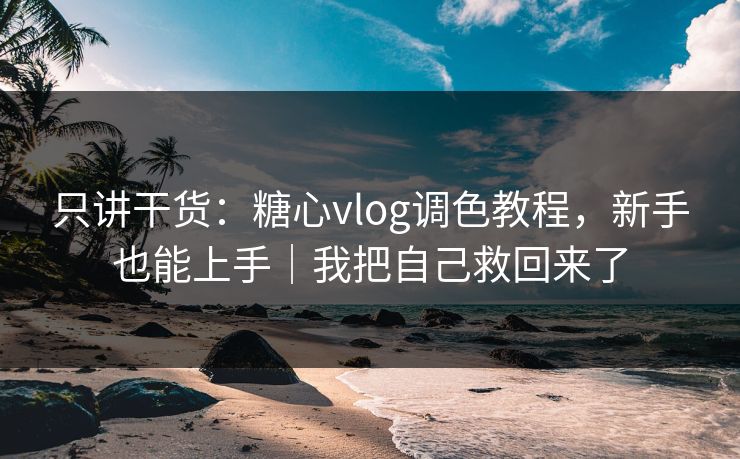 只讲干货：糖心vlog调色教程，新手也能上手｜我把自己救回来了