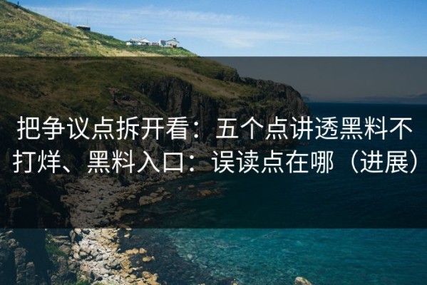 把争议点拆开看：五个点讲透黑料不打烊、黑料入口：误读点在哪（进展）