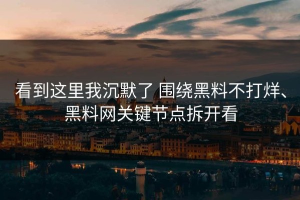 看到这里我沉默了 围绕黑料不打烊、黑料网关键节点拆开看