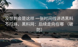 没想到会是这样 一张时间线讲透黑料不打烊、黑料网：后续走向在哪 （破防）