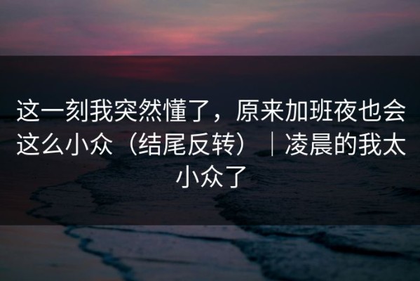 这一刻我突然懂了，原来加班夜也会这么小众（结尾反转）｜凌晨的我太小众了