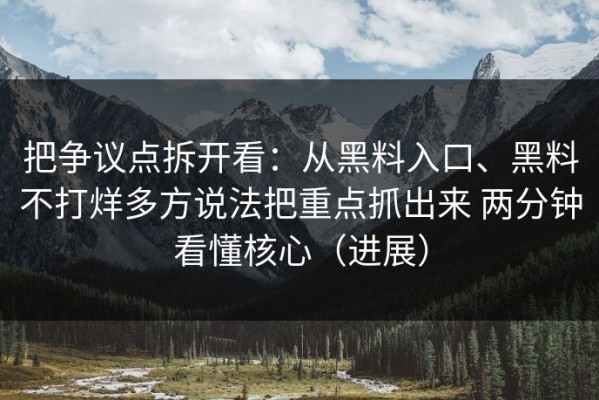 把争议点拆开看：从黑料入口、黑料不打烊多方说法把重点抓出来 两分钟看懂核心（进展）