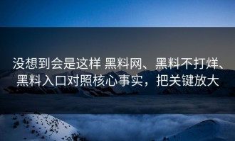 没想到会是这样 黑料网、黑料不打烊、黑料入口对照核心事实，把关键放大
