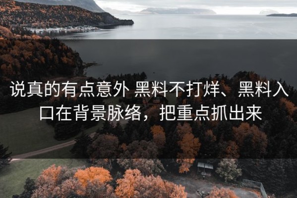 说真的有点意外 黑料不打烊、黑料入口在背景脉络，把重点抓出来