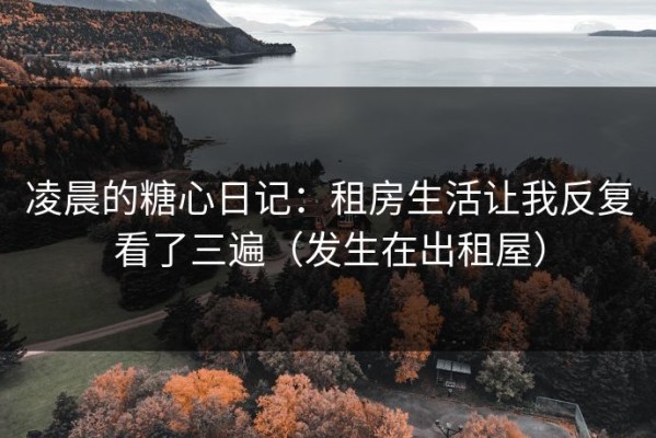 凌晨的糖心日记：租房生活让我反复看了三遍（发生在出租屋）