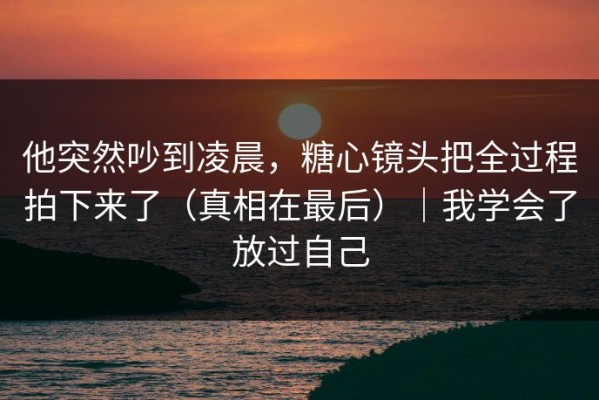 他突然吵到凌晨，糖心镜头把全过程拍下来了（真相在最后）｜我学会了放过自己