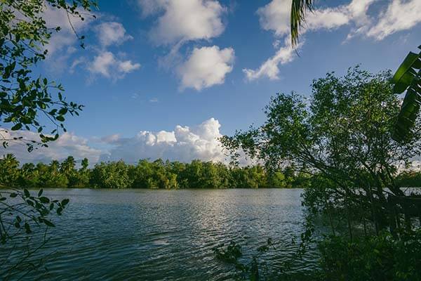 看完我才懂 三句话讲透黑料入口、黑料不打烊：信息差在哪 一眼看清来龙去脉