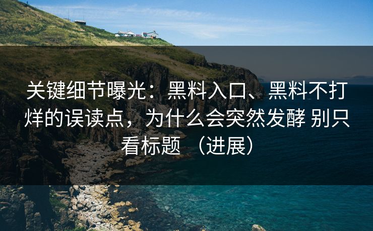 关键细节曝光：黑料入口、黑料不打烊的误读点，为什么会突然发酵 别只看标题 （进展）