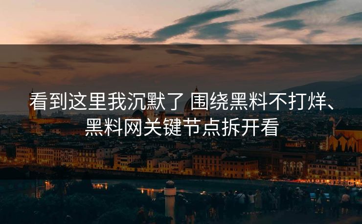 看到这里我沉默了 围绕黑料不打烊、黑料网关键节点拆开看