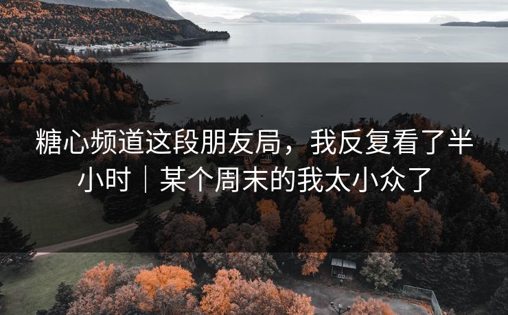 糖心频道这段朋友局，我反复看了半小时｜某个周末的我太小众了
