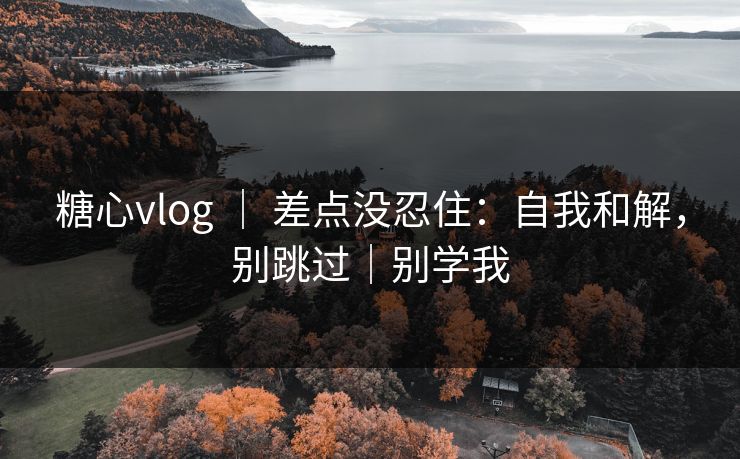 糖心vlog ｜ 差点没忍住：自我和解，别跳过｜别学我