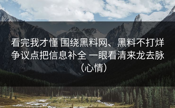 看完我才懂 围绕黑料网、黑料不打烊争议点把信息补全 一眼看清来龙去脉（心情）
