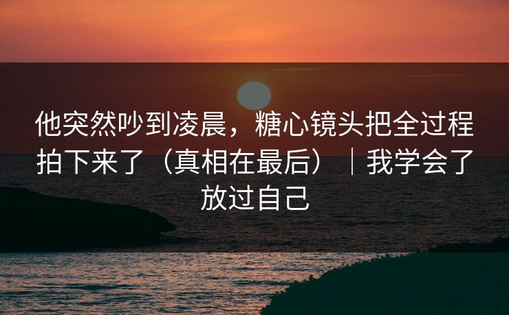 他突然吵到凌晨，糖心镜头把全过程拍下来了（真相在最后）｜我学会了放过自己