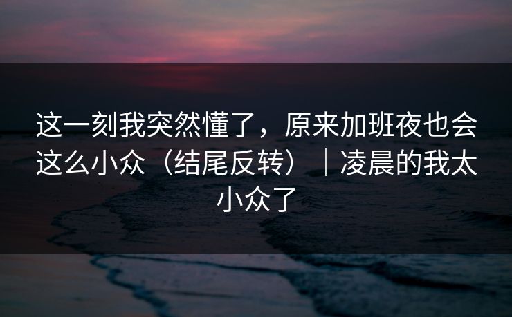 这一刻我突然懂了，原来加班夜也会这么小众（结尾反转）｜凌晨的我太小众了