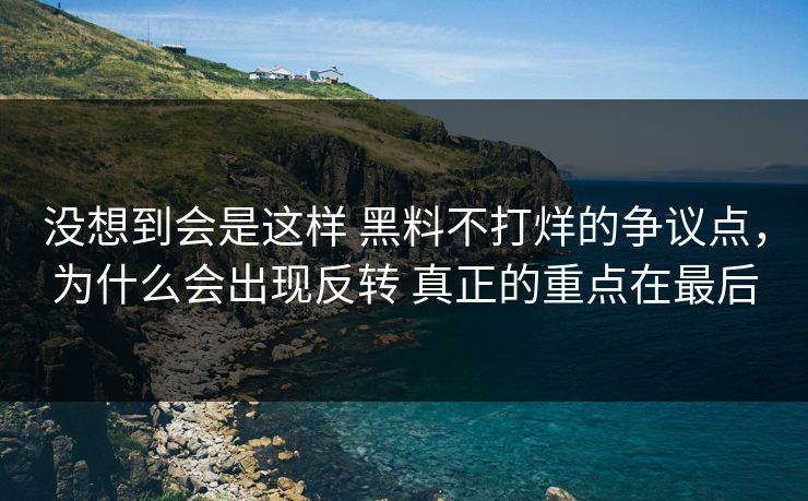 没想到会是这样 黑料不打烊的争议点，为什么会出现反转 真正的重点在最后